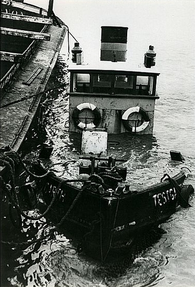 readmessage.php?message=20582